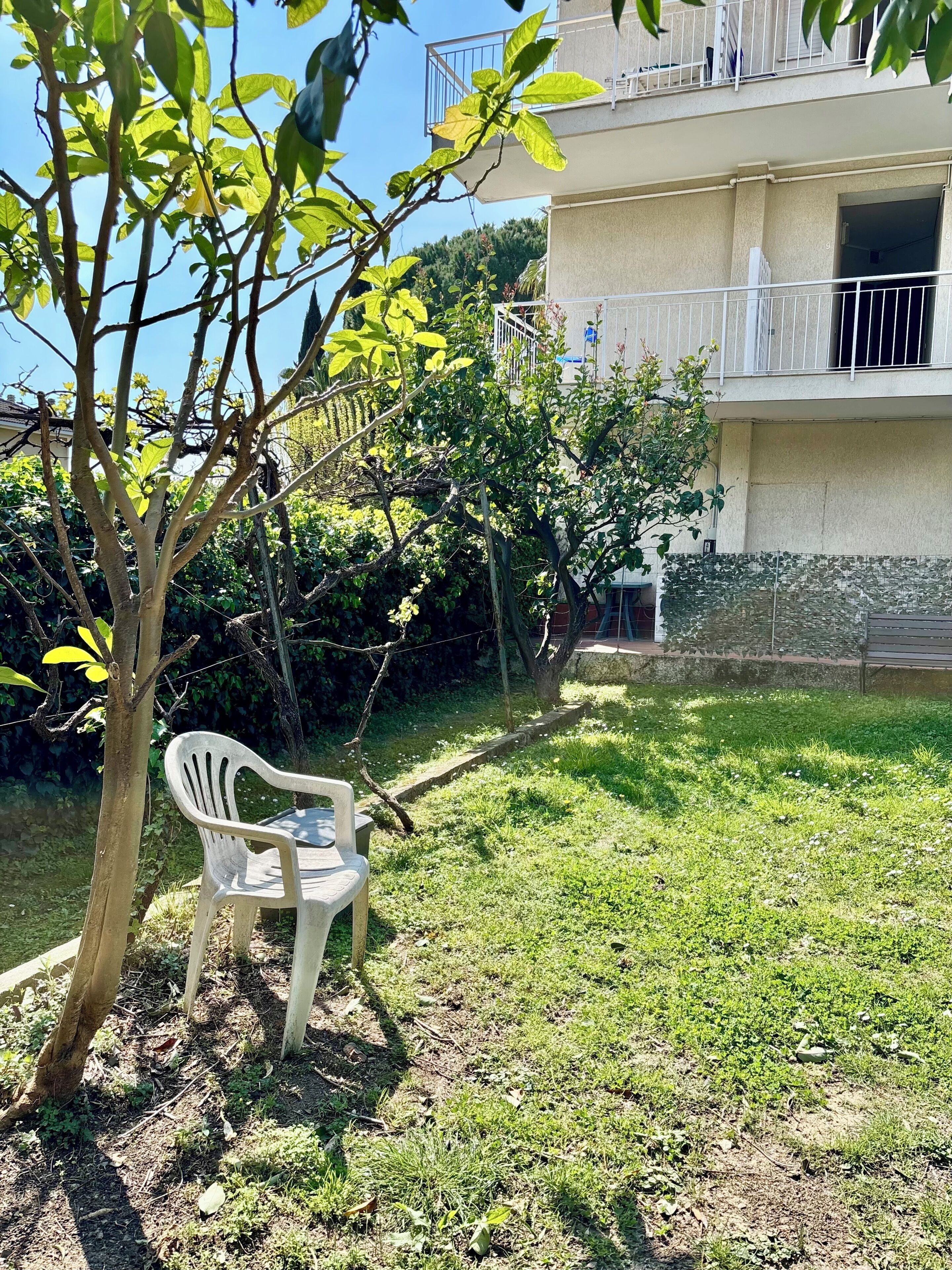 A tree with a white plastic chair, a grassy area, and a building with a balcony.