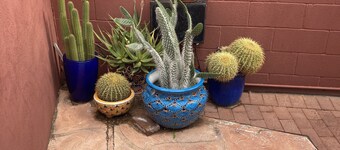 Charming Casita in Historic Barrio Viejo 144 sq ft.