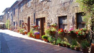 Rumah | 7 kamar tidur dan internet