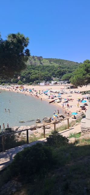 A beach with a wooden walkway leading to the water, surrounded by greenery and a clear sky.