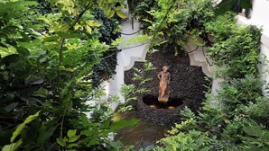 A statue in a garden with a white wall and greenery. - La Palazzina Santa Dorotea Splendid Rome Townhouse With Courtyard Garden (Rome)
