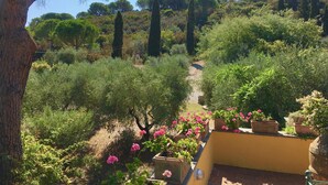 A garden with a pathway, various plants, and a yellow wall. - Porto Ercole Villa Della Fonte Large Pool Fabulous Sea Views (Monte Argentario)
