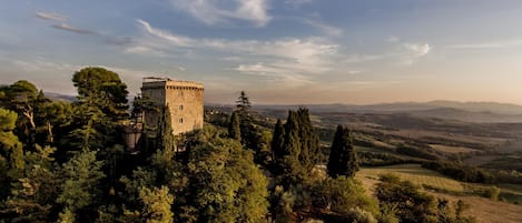 A castle surrounded by dense forest, a swimming pool, and a scenic view of rolling hills.