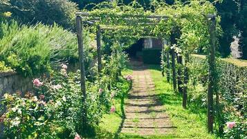 House | 8 bedrooms, Internet