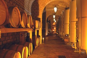 House - Villa Vinarte Elegant Home 2 Pools Tennis spa Winery Exclusively for you (Castiglione in Teverina)