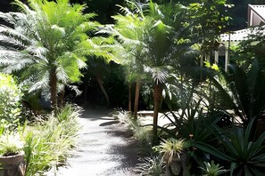 Property grounds - Casa Naranja (Cahuita)