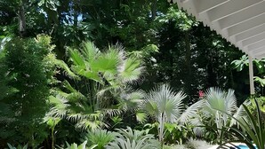 未分类图片，第 5 张，共 35 张，按钮