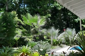 Property grounds - Casa Naranja (Cahuita)