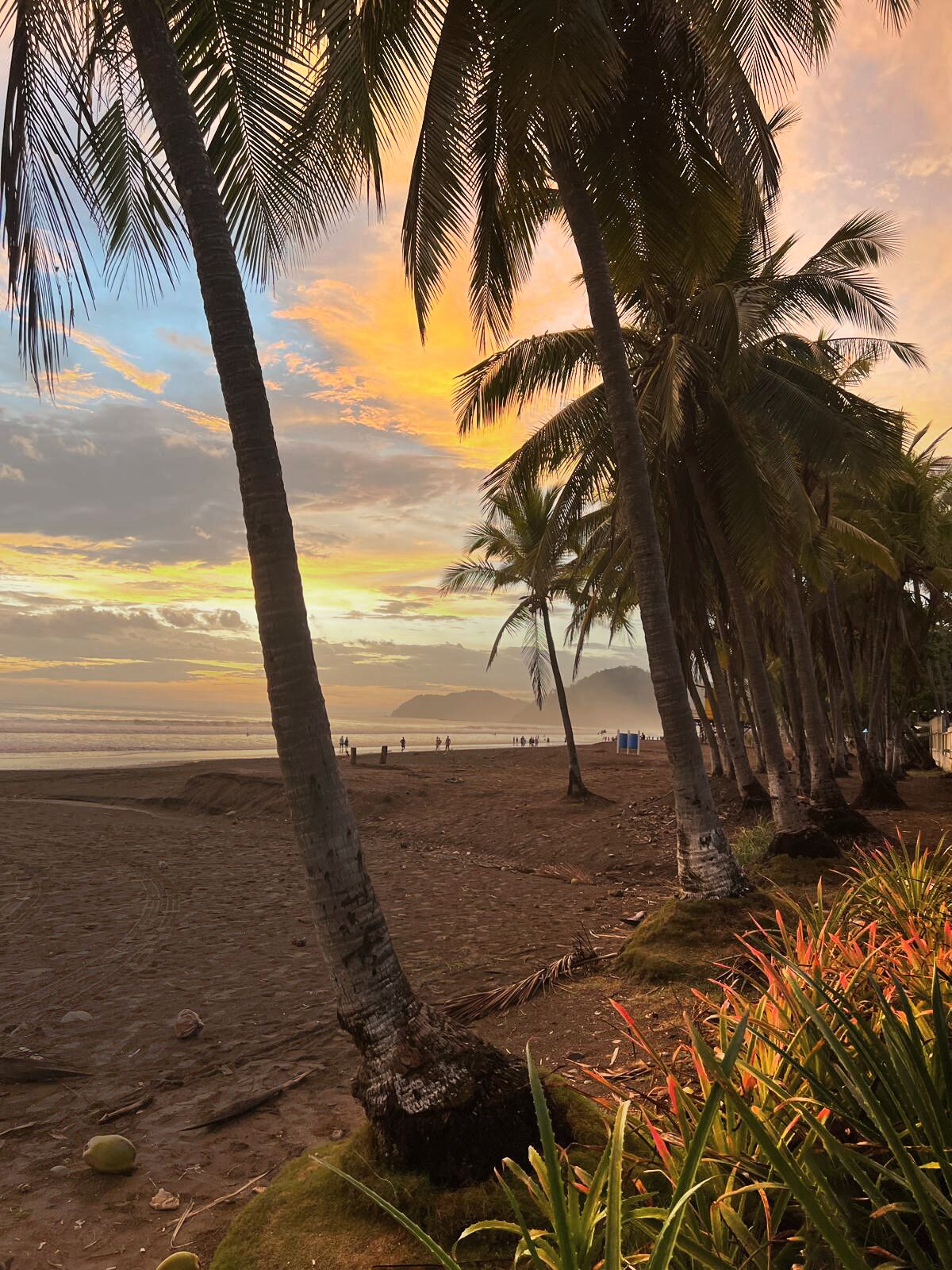 Playa