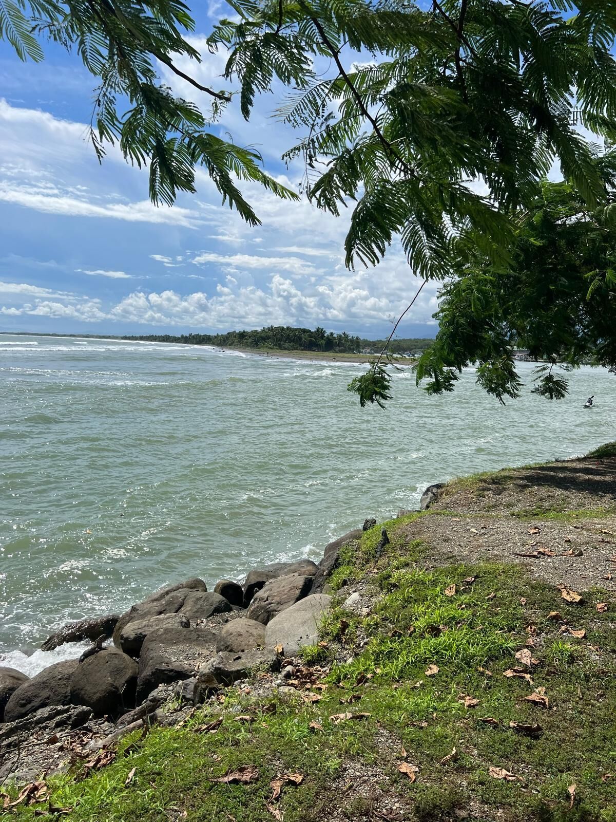 A coastal landscape with rocky shorelines, grassy areas, and a distant tree line under a clear sky.