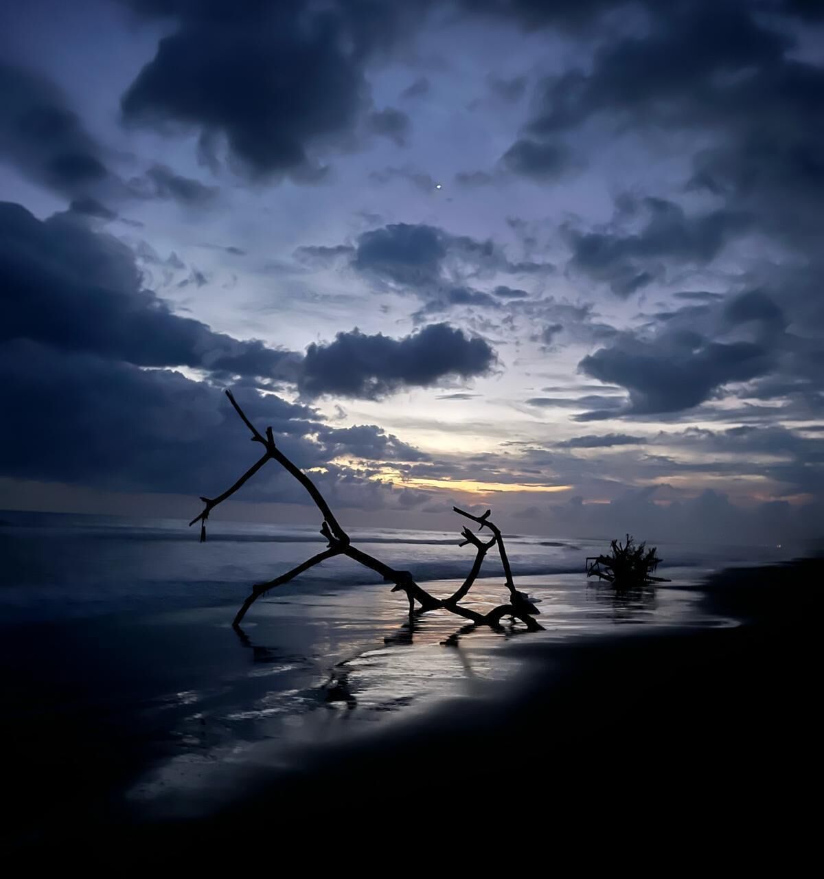 Una playa con ramas silueteadas contra un cielo dramático.