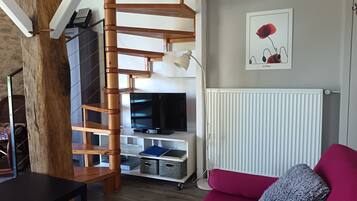 TV, DVD player, books