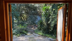 A pathway leading through a garden with stone steps and various plants. - Cabaña de Ensueño en el Bosque y Junto al Mar. Ideal Pareja ,dos Niños y Mascota (Miengo)