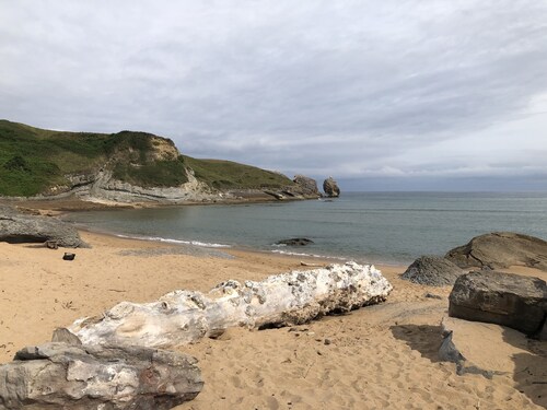 Cabaña de Ensueño en el Bosque y Junto al Mar. Ideal Pareja ,dos Niños y Mascota