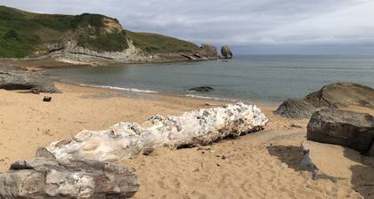 Cabaña de Ensueño en el Bosque y Junto al Mar. Ideal Pareja ,dos Niños y Mascota