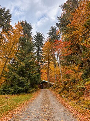 A gravel path leading to a cabin surrounded by autumn foliage.