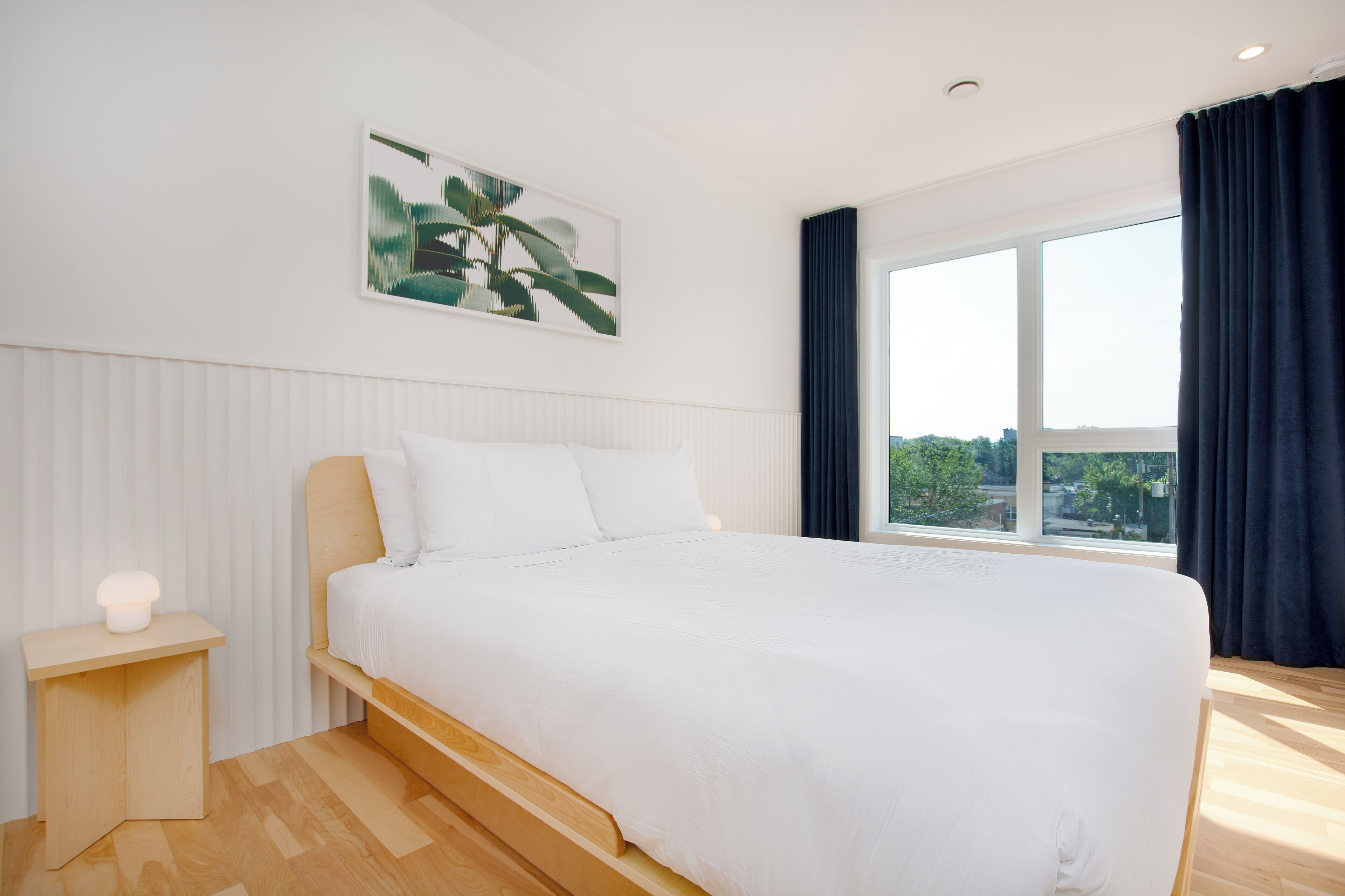Een moderne slaapkamer met een groot bed, een nachtkastje, een raam met gordijnen en een hangende plant aan de muur.