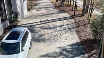 A driveway leading to a house with a car parked on the left.