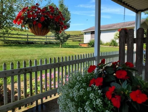 Terrein van de accommodatie