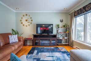 Fernseher, Arbeitsbereiche