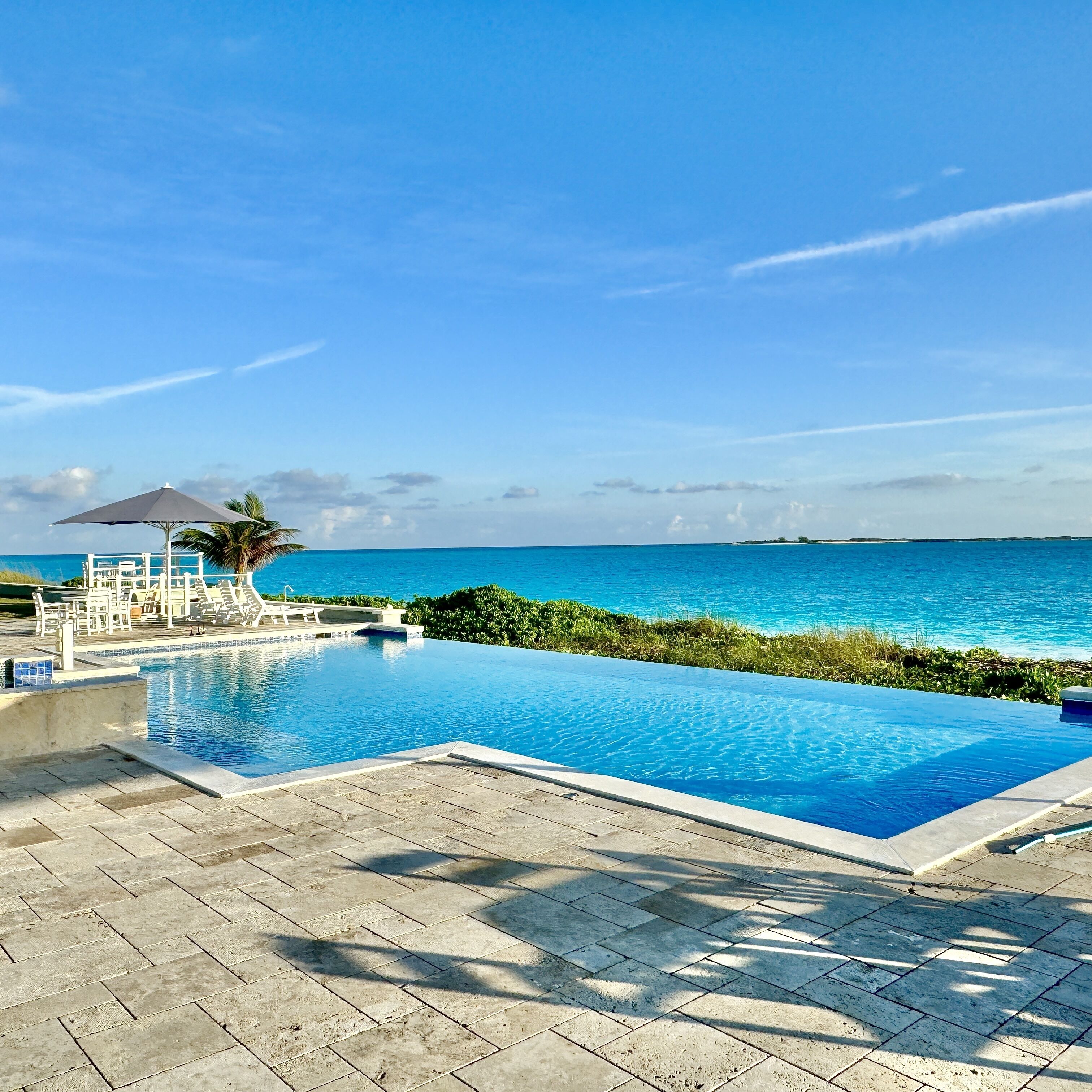 A swimming pool with a view of the ocean, lounge chairs, and a palm tree.