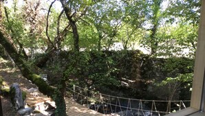 Un puente de madera sobre un arroyo, rodeado de árboles y rocas.