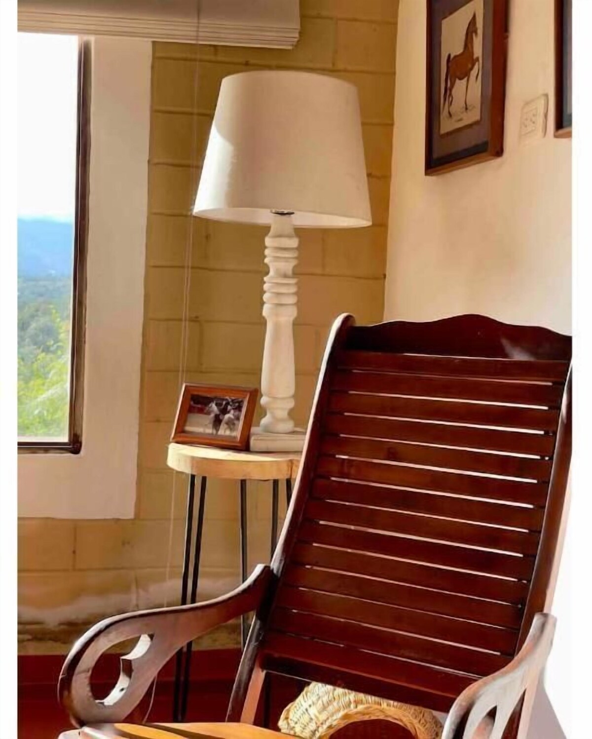 Image de profil de l’hôte