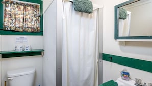 Ein Badezimmer mit Toilette, Duschvorhang, grünem Handtuch und einer Handseifenflasche auf dem Waschbecken.