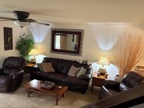 TV, books - Riverbend - 2 Bedroom waterfront condo with spectacular views!! (Welaka)