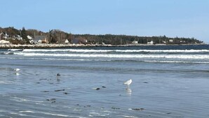 A beach with waves and a distant shoreline with houses.