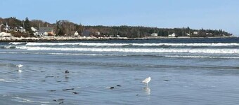 Seaman's Cottage #1 in Summerville Center - Pet Friendly!