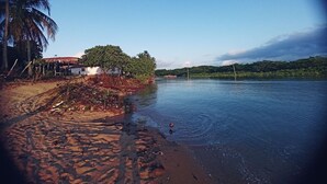 Una spiaggia con un litorale sabbioso, alcuni alberi e un edificio sullo sfondo.