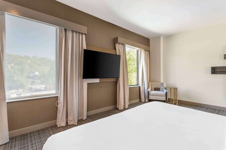 Comfort Suites Gatlinburg Downtown Convention Center - Image 59