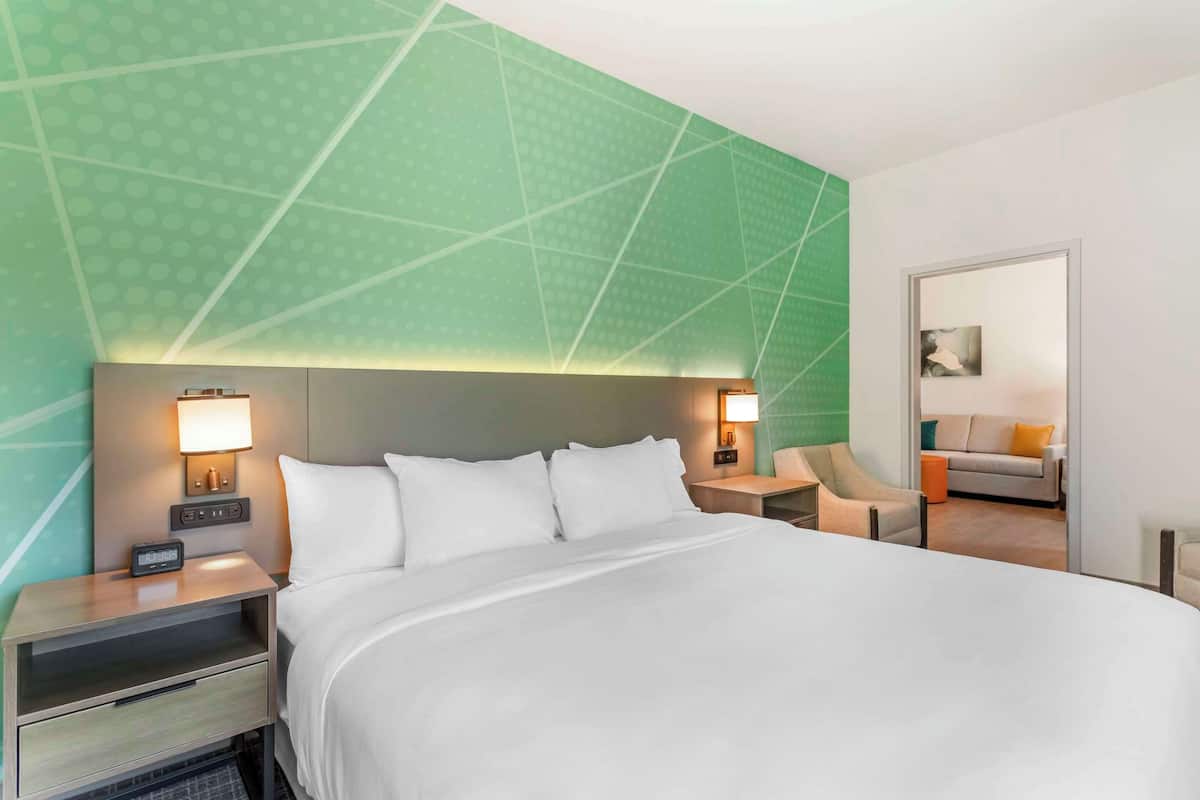 Suite (One Bed King, Handicapped, HEARING)