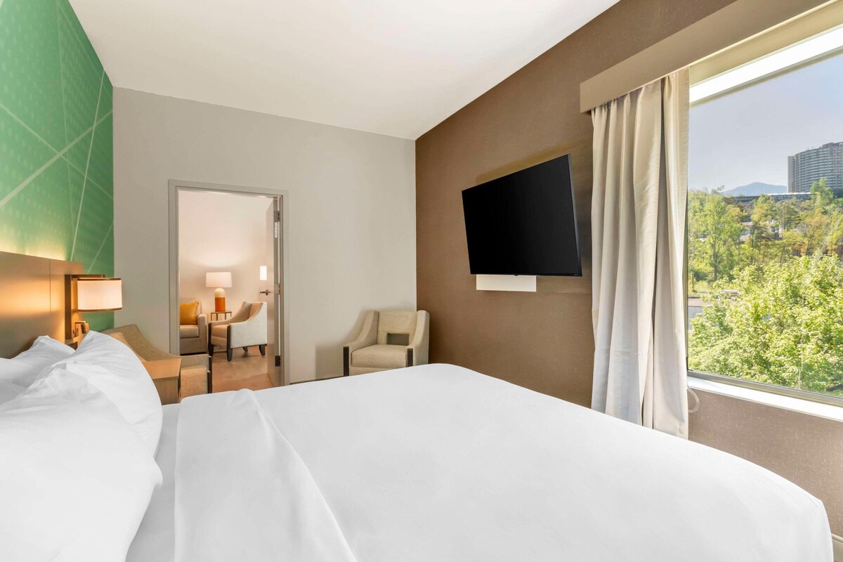 A hotel room with a large bed, a flat-screen TV mounted on the wall, a window with curtains, and a view of greenery outside.