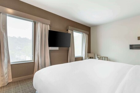 Comfort Suites Gatlinburg Downtown Convention Center - Image 101