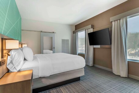Comfort Suites Gatlinburg Downtown Convention Center - Image 97