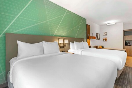 Comfort Suites Gatlinburg Downtown Convention Center - Image 4