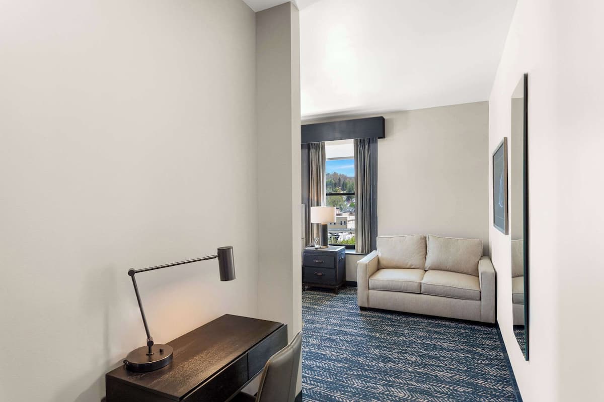 Chambre, 1 grand lit, accessible aux personnes à mobilité réduite, non-fumeurs | Bureau, espace de travail pour ordinateur portable, rideaux occultants