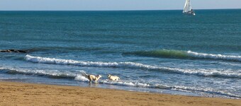 4 bedroom stunning home in Trappeto