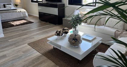 Luxury Mencey Penthouse