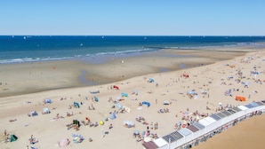 Una playa con numerosas tumbonas y sombrillas, una orilla arenosa y un cielo azul despejado.