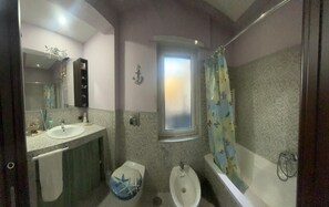Shower, hair dryer, bidet, towels