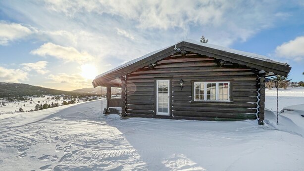 Eksteriør