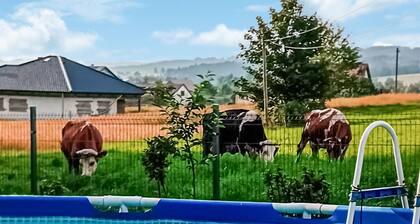 Appartement acceptant les animaux Ă .