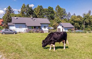 A black cow grazing in a grassy field with houses in the background. - Amazing apartment in Spytkowice (Spytkowice)