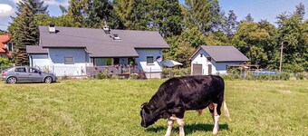 Pet friendly apartment in Spytkowice