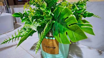 Una planta en maceta con el nombre "Sonnie" sobre un piso de baldosas.