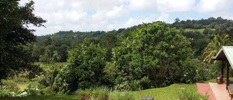 Área da propriedade