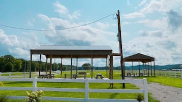 Terrein van de accommodatie